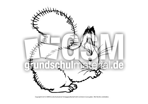 ausmalbilder a und b hörnchen ausmalbilder a und b hörnchen